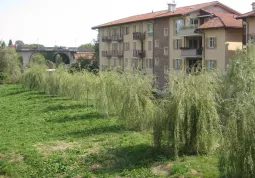 I salici lungo le sponde del Talutto al margine di piazza Giovanni Paolo II